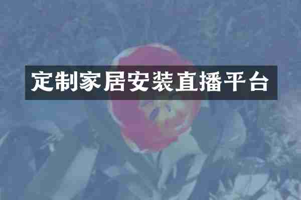 定制家居安装直播平台