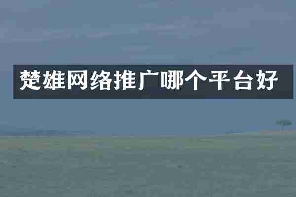 楚雄网络推广哪个平台好