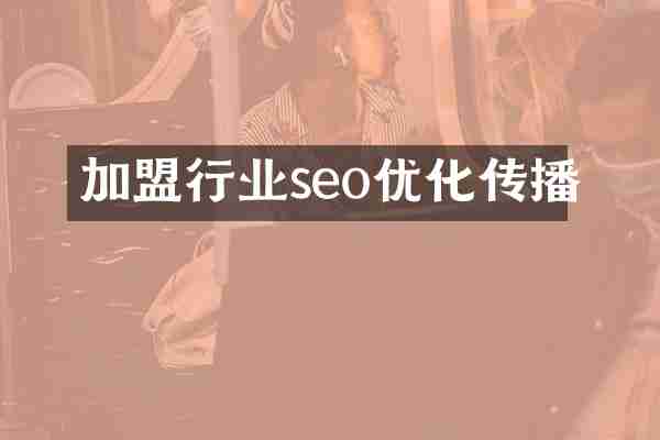 加盟行业seo优化传播
