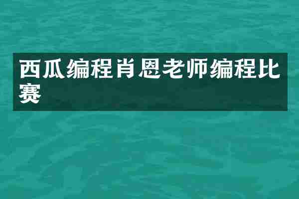 西瓜编程肖恩老师编程比赛