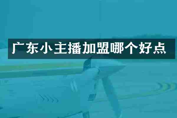 广东小主播加盟哪个好点
