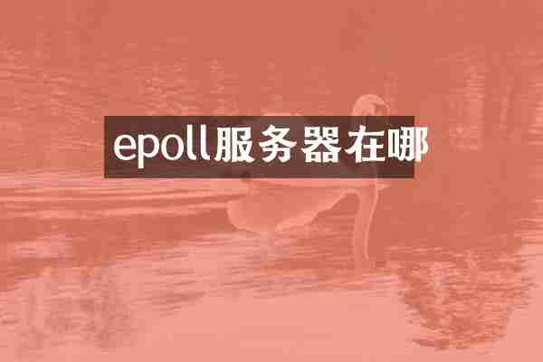 epoll服务器在哪