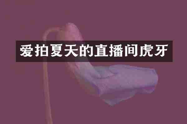 爱拍夏天的直播间虎牙