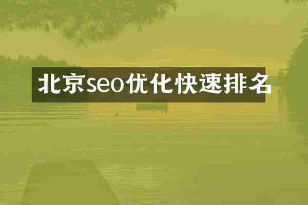 北京seo优化快速排名