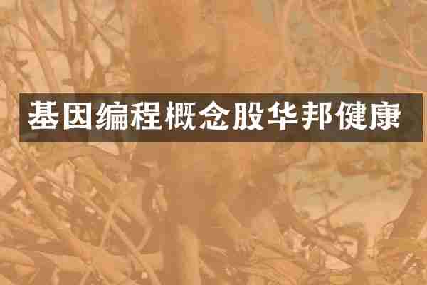 基因编程概念股华邦健康