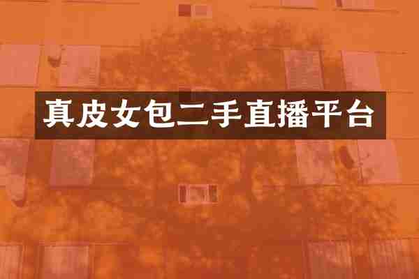 真皮女包二手直播平台