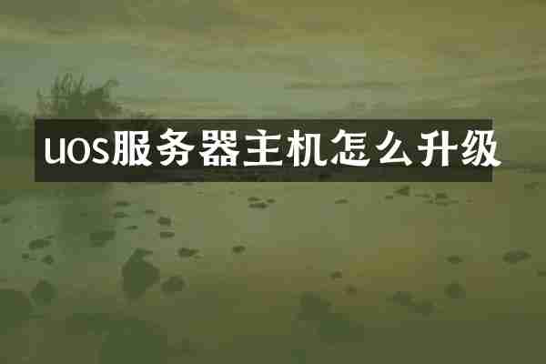 uos服务器主机怎么升级