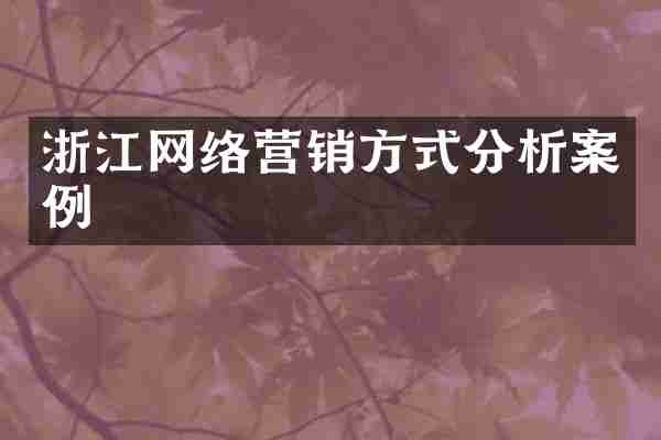浙江网络营销方式分析案例