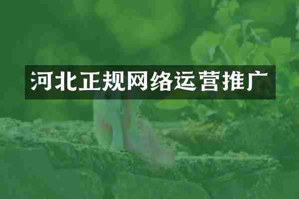 河北正规网络运营推广