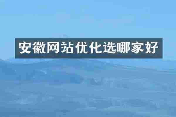 安徽网站优化选哪家好