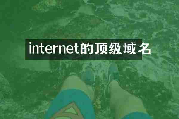 internet的顶级域名