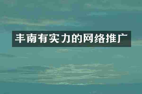 丰南有实力的网络推广