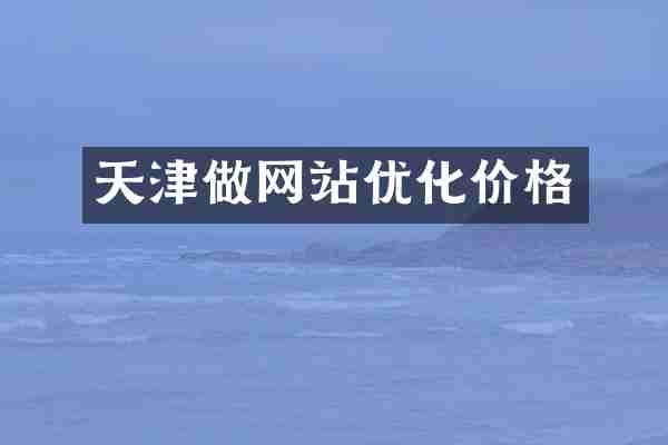 天津做网站优化价格