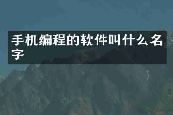 手机编程的软件叫什么名字