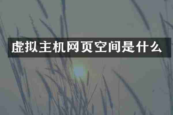 虚拟主机网页空间是什么