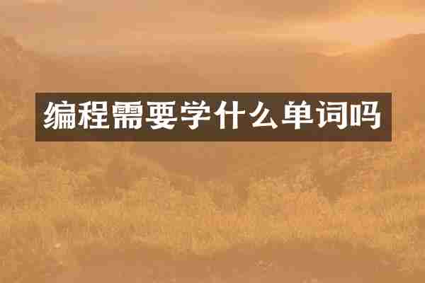 编程需要学什么单词吗