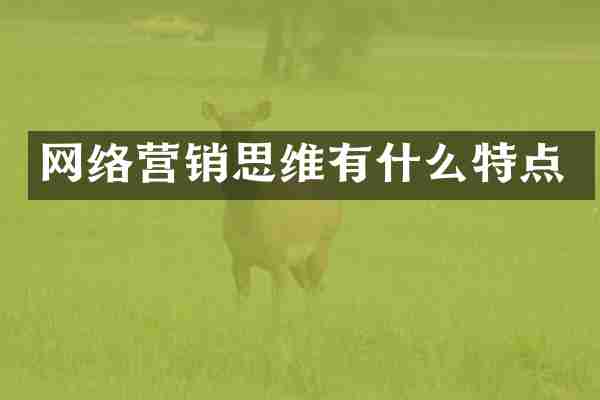 网络营销思维有什么特点