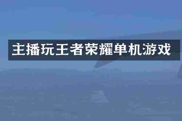 主播玩王者荣耀单机游戏