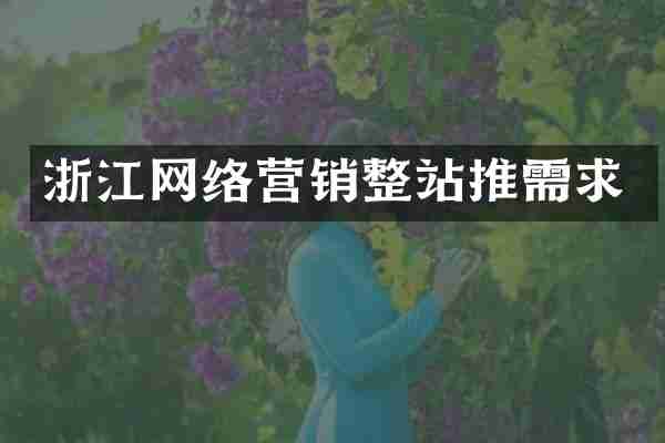 浙江网络营销整站推需求