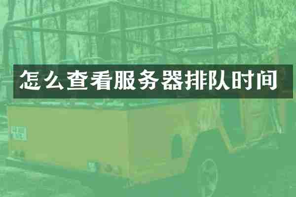 怎么查看服务器排队时间