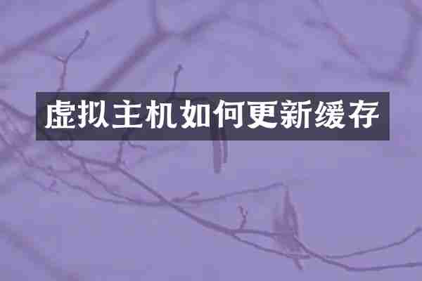 虚拟主机如何更新缓存