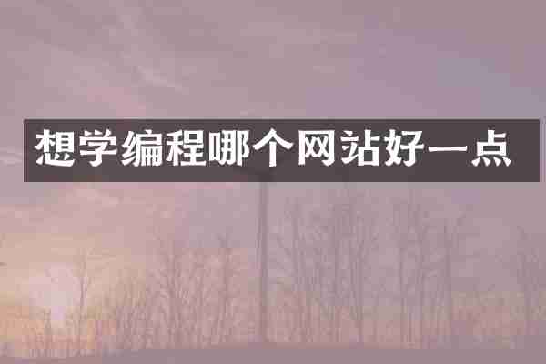 想学编程哪个网站好一点