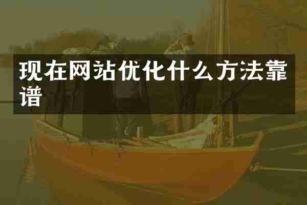现在网站优化什么方法靠谱