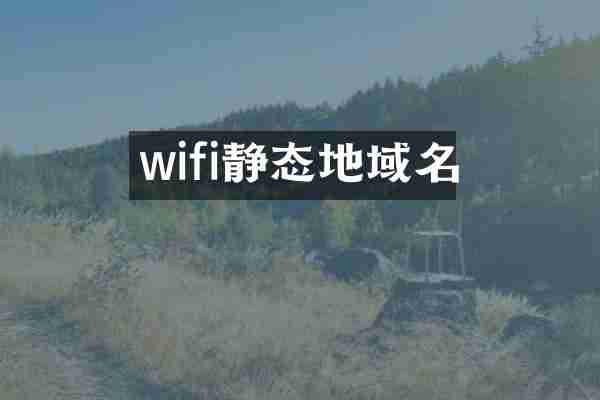 wifi静态地域名