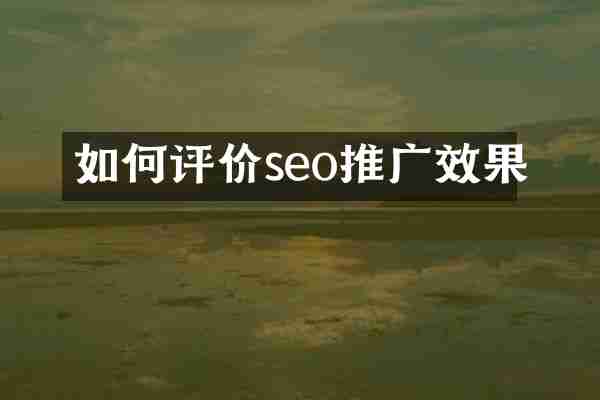 如何评价seo推广效果