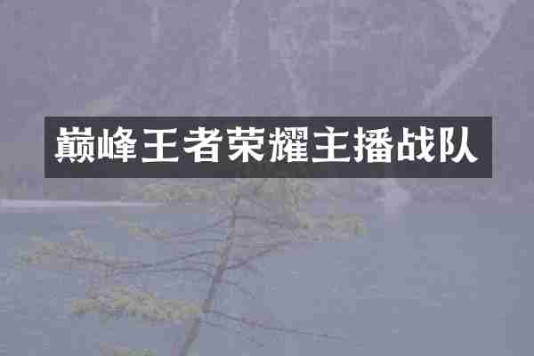 巅峰王者荣耀主播战队