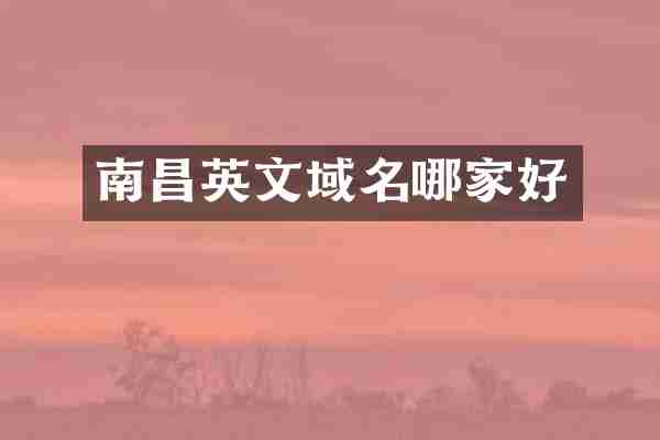 南昌英文域名哪家好