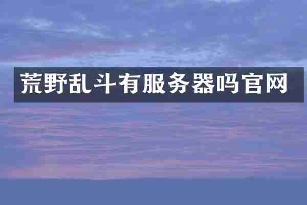 荒野乱斗有服务器吗官网