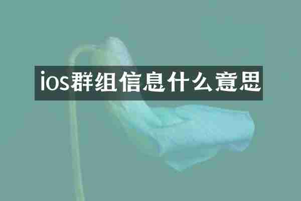 ios群组信息什么意思