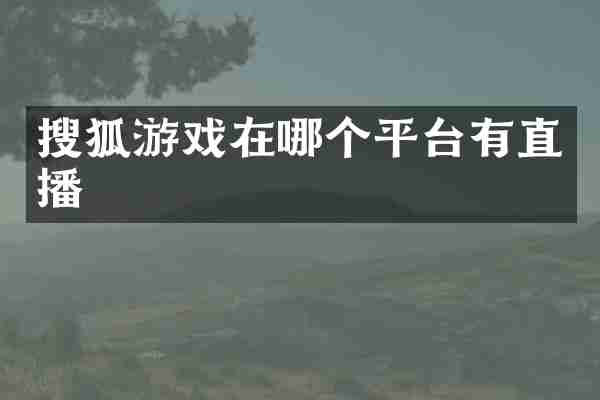 搜狐游戏在哪个平台有直播