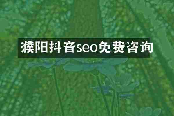 濮阳抖音seo免费咨询