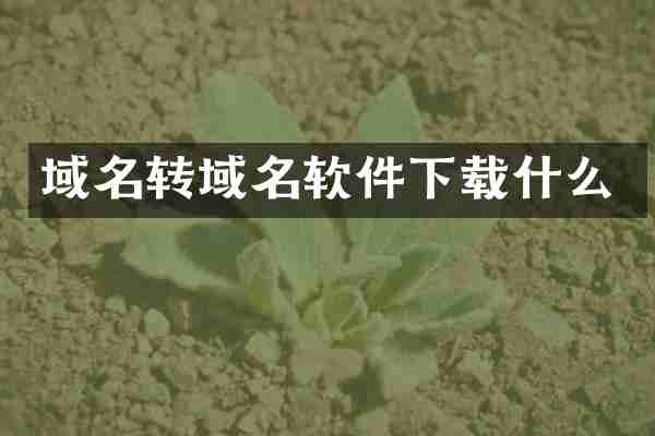 域名转域名软件下载什么
