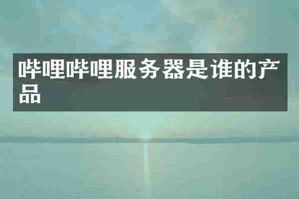 哔哩哔哩服务器是谁的产品