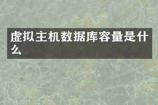 虚拟主机数据库容量是什么