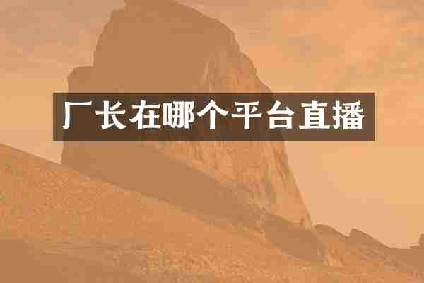 厂长在哪个平台直播