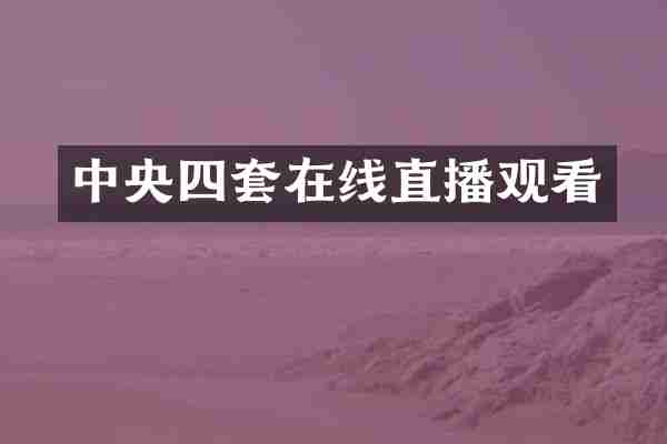 中央四套在线直播观看