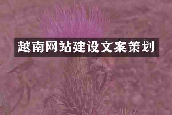 越南网站建设文案策划