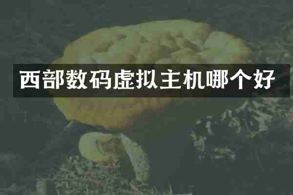 西部数码虚拟主机哪个好