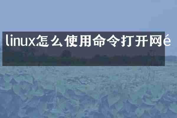 linux怎么使用命令打开网页