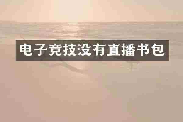 电子竞技没有直播书包