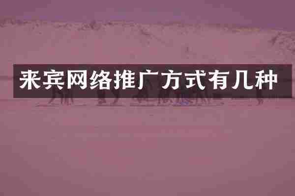 来宾网络推广方式有几种