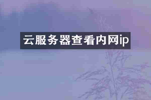云服务器查看内网ip