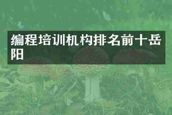 编程培训机构排名前十岳阳