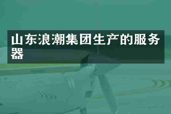 山东浪潮集团生产的服务器