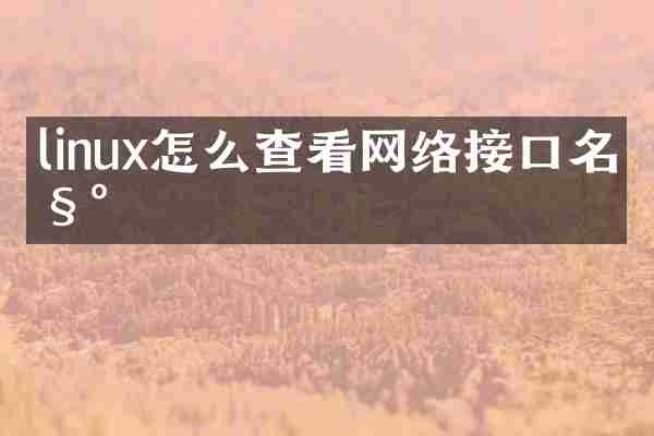 linux怎么查看网络接口名称