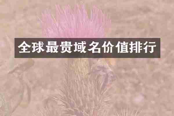 全球最贵域名价值排行